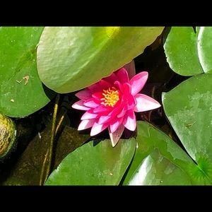 Meet your Posher, Brittney